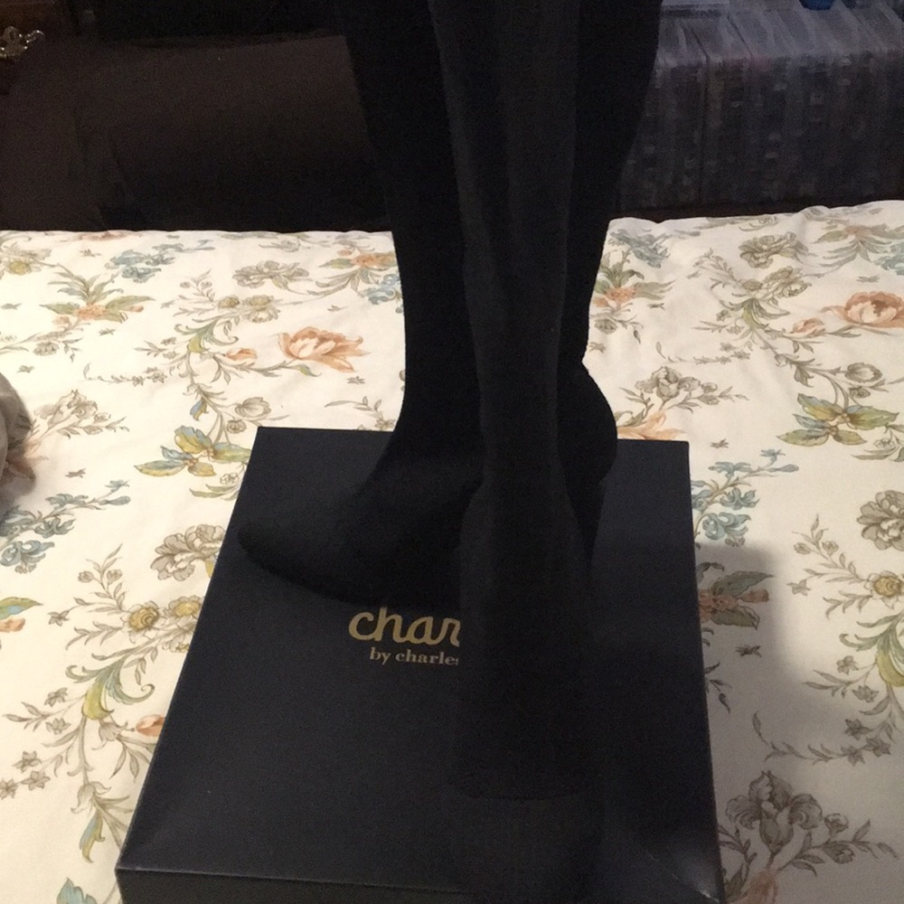 NWT Charles David boots